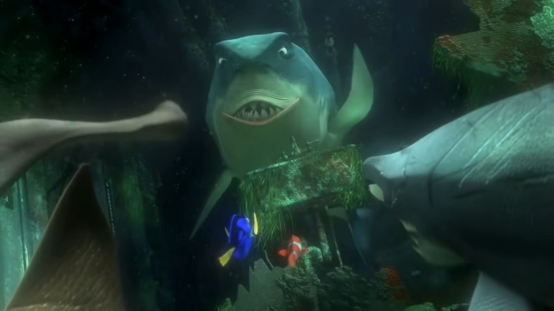Disney+ is preparing a TV series based on the "Finding Nemo" cartoon
