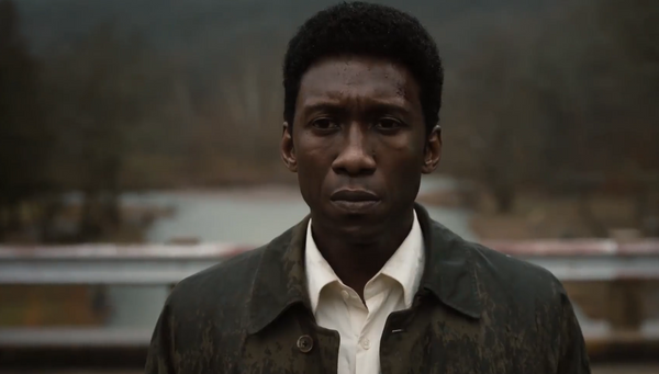 "Moonlight" director works on "True Detective" sequel